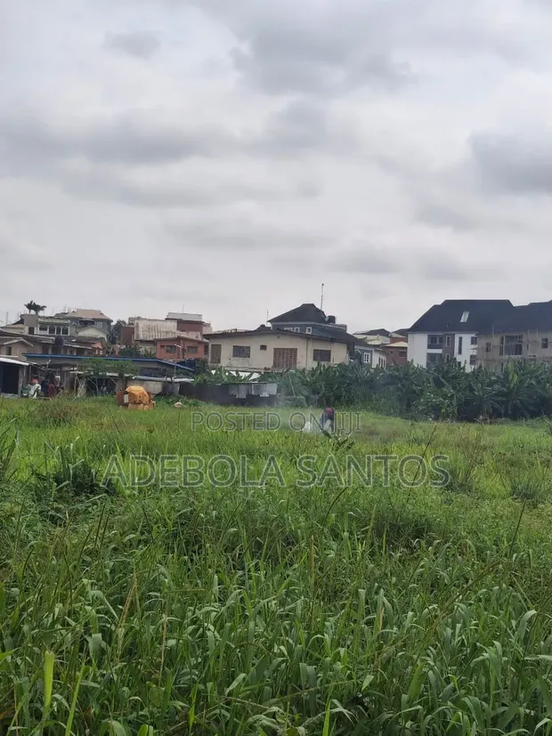 2 Acres & 3 Plots Filin Sayarwa, Opebi - 1