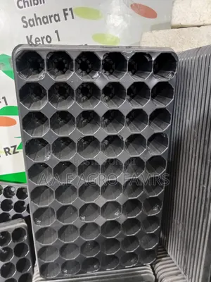 Seedling Tray - 6x8 Cells