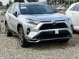 Toyota RAV4 Hybrid 2025 - Kai Tsaye Daga Belgium - 4