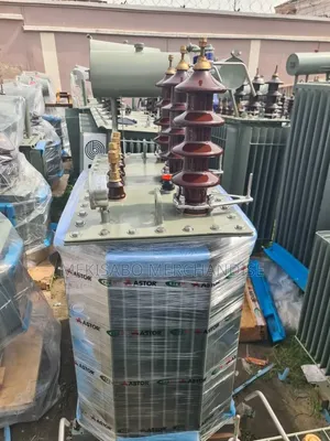 Astor 300kVA / 33kV Transformer