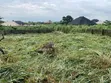 Filin Kasa Busasshe N400k Don Siyarwa, Obafemi-Owode - 1
