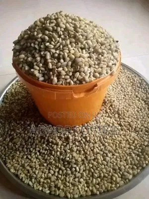 Premier Foods Dried Ukwa (African Breadfruit)