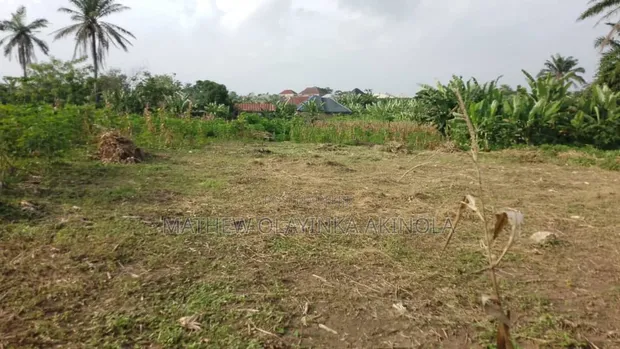 600sqm Plot of Land for Sale in Idi Ayunre - 1
