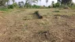 600sqm Plot of Land for Sale in Idi Ayunre - 2