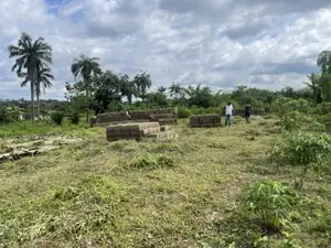 600sqm Plot of Land for Sale in Idi Ayunre
