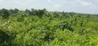5 Acres of Land for Sale at Alako, Ido, Ibadan - 2