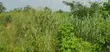 5 Acres of Land for Sale at Alako, Ido, Ibadan - 4