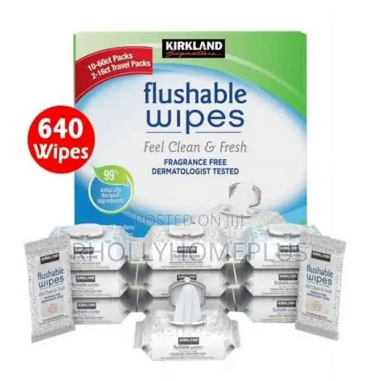 Kirkland Signature Flushable Wipes Fragrance-Free 640ct - 1