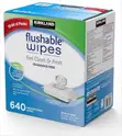 Kirkland Signature Flushable Wipes Fragrance-Free 640ct - 4