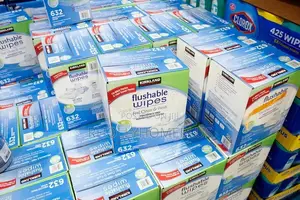 Kirkland Signature Flushable Wipes Fragrance-Free 640ct