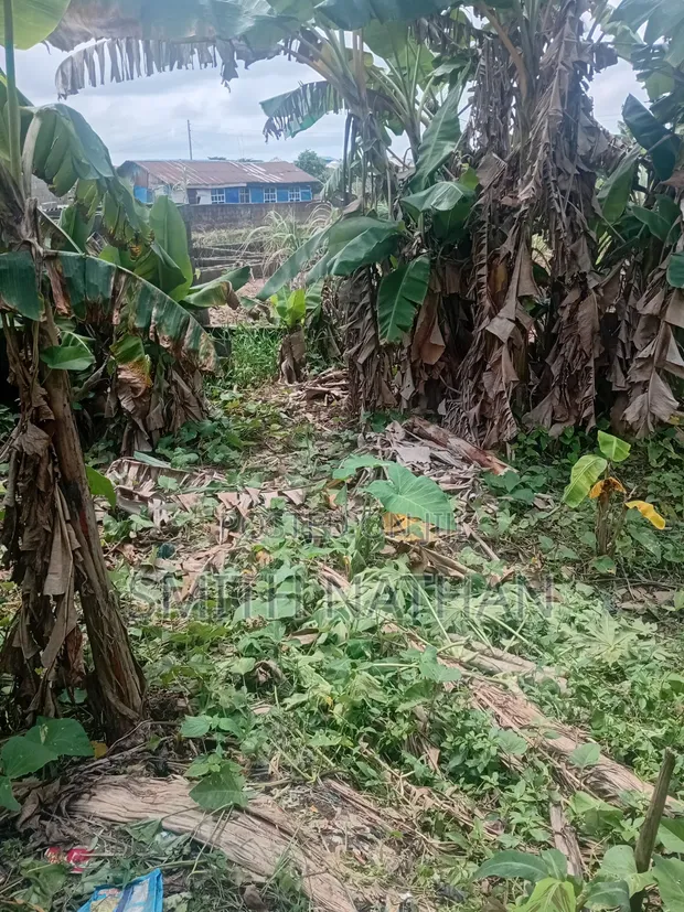 Filin Sayarwa a Ketu, Epe, Legas - 1
