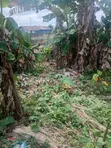 Filin Sayarwa a Ketu, Epe, Legas - 1