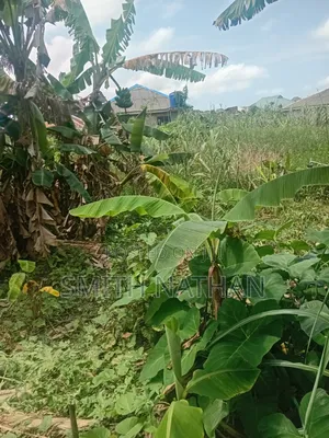 Filin Sayarwa a Ketu, Epe, Legas