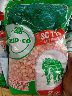 SC119 Late-Maturity Maize Seeds (2kg)