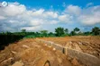 Affordable 450sqm Land for Sale in Oyigbo, Port Harcourt - 5