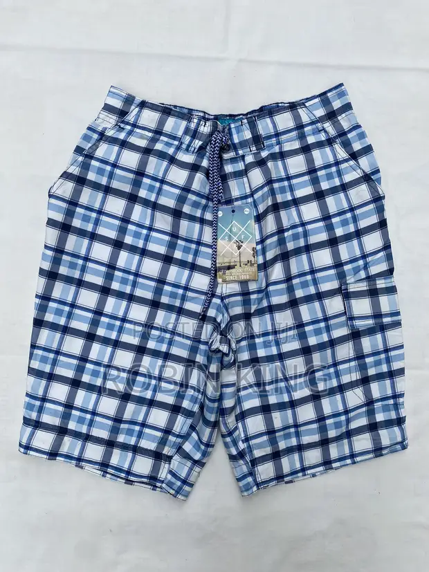 Cedarwood State Cargo Beach Board Shorts - Blue Check - 1