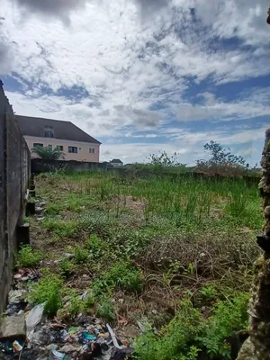 Fenced & Gated Plot of Land in Badore, Ajah