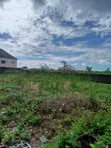 Fenced & Gated Plot of Land in Badore, Ajah - 4