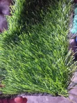 Gold Color Artificial Grass 15mm - 2