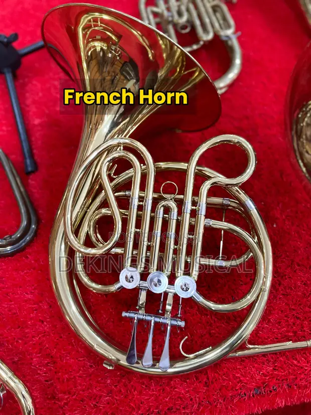 Yamaha French Horn YHR-567 - 1
