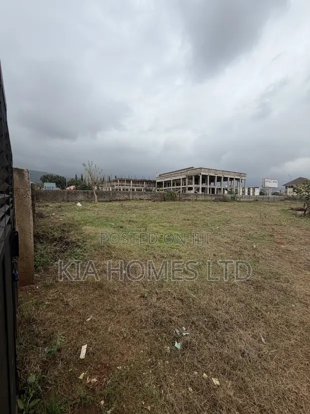 Filin Zama 5,200 SQM a Jahi - 1