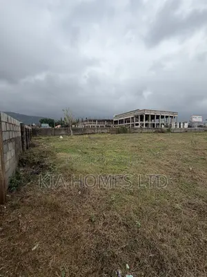 5200 SQM Residential Land in Jahi