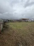 Filin Zama 5,200 SQM a Jahi - 2