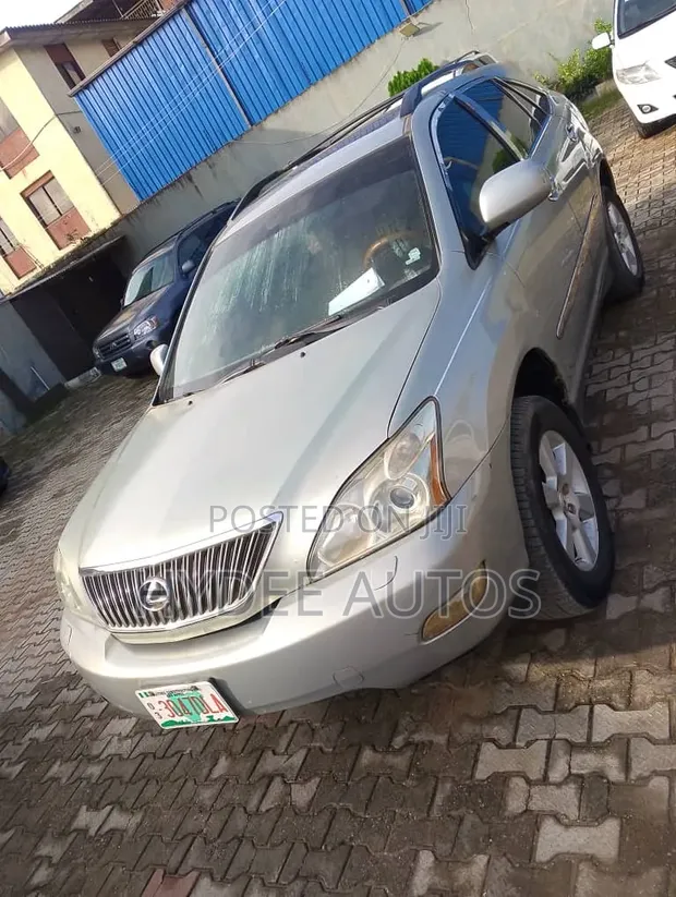 Lexus RX 330 2006 - 1
