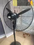 Binatone Fan Mai Girman 30-inch - 2