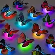 3D Butterfly LED Multicolor Wall Sticker - 1