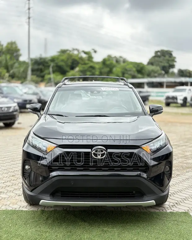 Toyota RAV4 2019 XLE AWD - 1