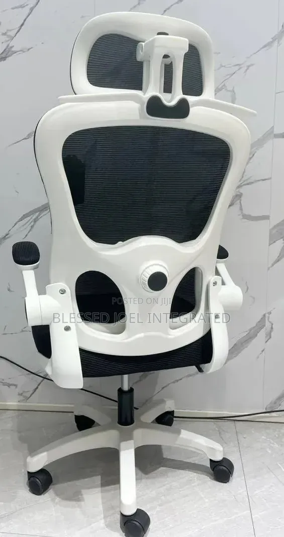 Boss Office Products Ergonomic Chair - Sabon Abu - 1