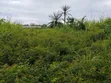 100x100 Filin Sayarwa a Ezakagbo, Benin City - 1