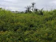 100x100 Filin Sayarwa a Ezakagbo, Benin City - 2