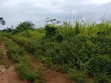 100x100 Filin Sayarwa a Ezakagbo, Benin City - 3