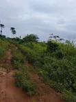 100x100 Filin Sayarwa a Ezakagbo, Benin City - 4