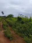 100x100 Filin Sayarwa a Ezakagbo, Benin City - 5