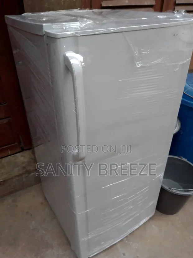 GE Fridge and Freezer - 1