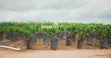 Filin Zuba Jari Mai Muhimmanci - Palm City, Ogbomosho - 2