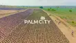 Filin Zuba Jari Mai Muhimmanci - Palm City, Ogbomosho - 5