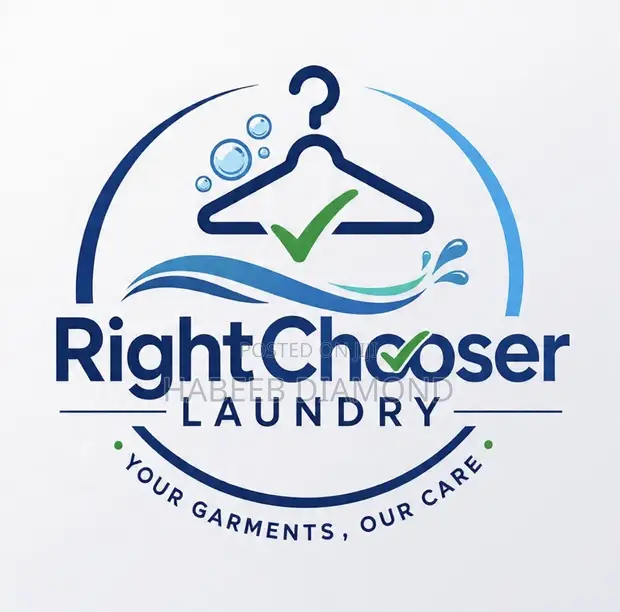Professional Ironer/Presser Job - Surulere - 1