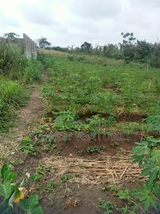 Half Plot for Sale, Abiola Arobieye - 1