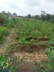 Half Plot for Sale, Abiola Arobieye - 1