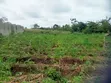 Half Plot for Sale, Abiola Arobieye - 3