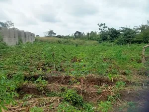 Half Plot for Sale, Abiola Arobieye