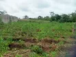 Half Plot for Sale, Abiola Arobieye - 5