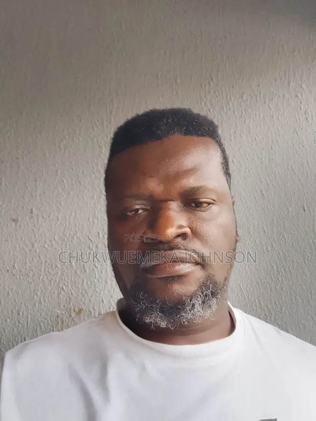 Chukwuemeka Johnson - Management CV - 1