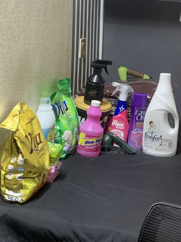 Wholesome Laundry and Cleaning Services - 1