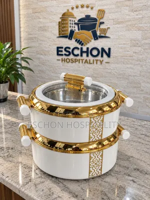 Luxury Insulated Food Warmers with Transparent Lids (2pcs)