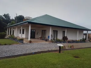 Professional House Roofing Services Available